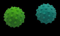 Spiky Foot Massage Ball – Deep Tissue Trigger Point Roller (Miscellaneous Color)